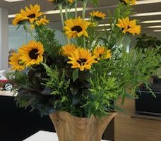 今週のｼｮｰﾙｰﾑ　お花🌼